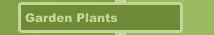 Garden Plants